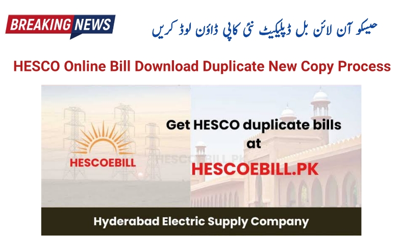 HESCO Online Bill 2024