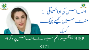 BISP Benazir income support Ehsas program How To Check Ehsaas Payment In 1 Minute 81 71