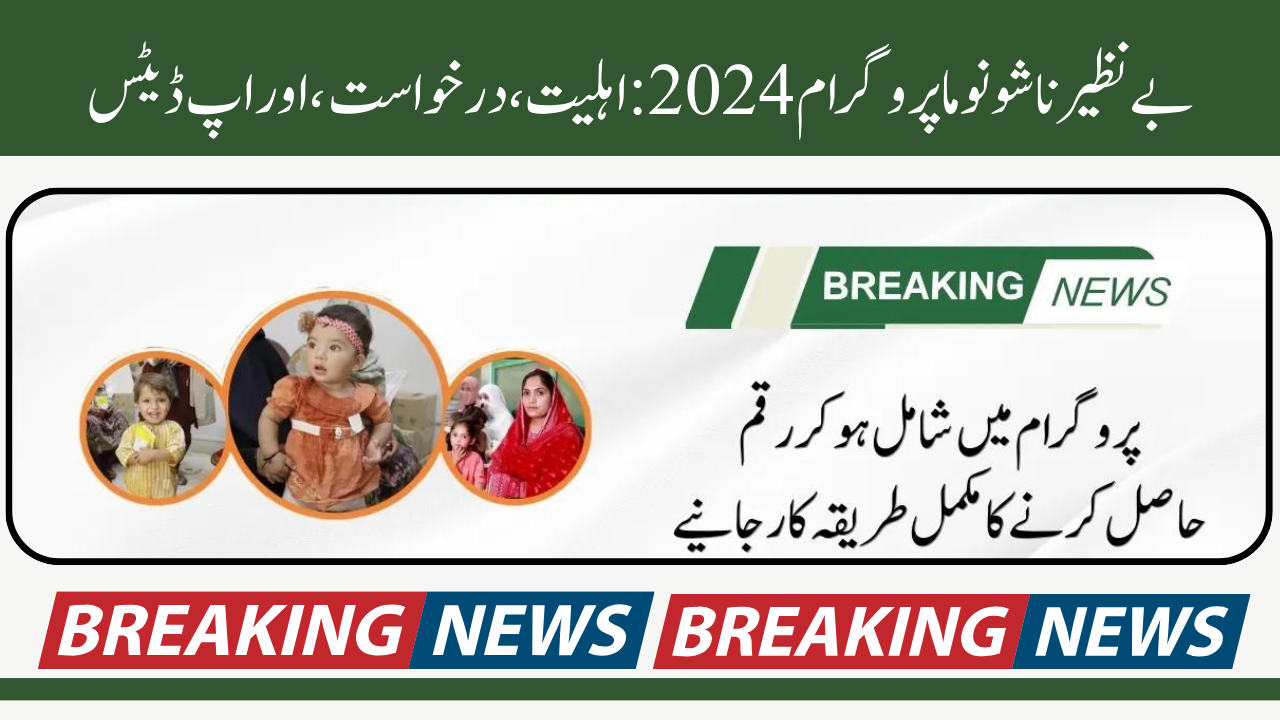 Benazir Nashonuma Program 2024