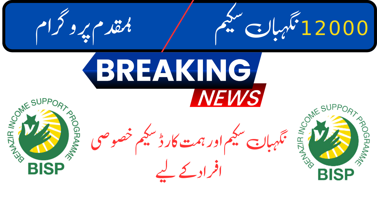 Breaking News 12000 Nigehban Scheme | Bait ul Maal Nigehban Scheme