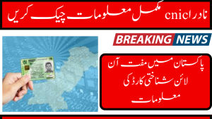 How to Check Nadra CNIC full Information Free Online ID Card