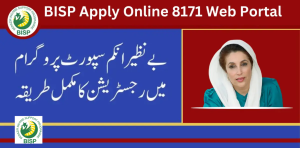 Benazir Income Support Program Online Registration 8171