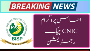 Ehsaas Program CNIC Check Registration Sim Details Through CNIC