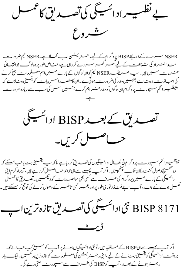 BISP 8171 New Payment Verification by NSER