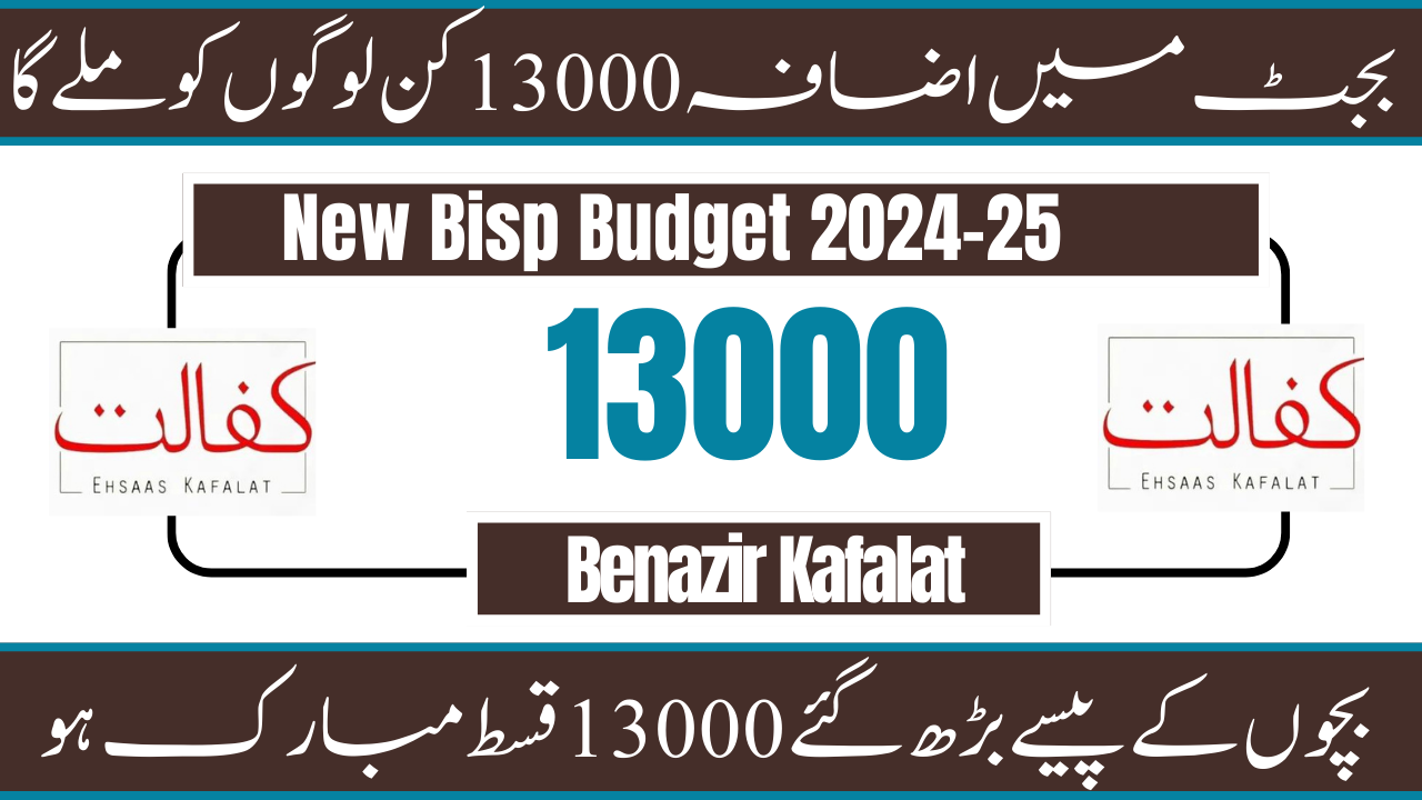 Benazir Budget Relief