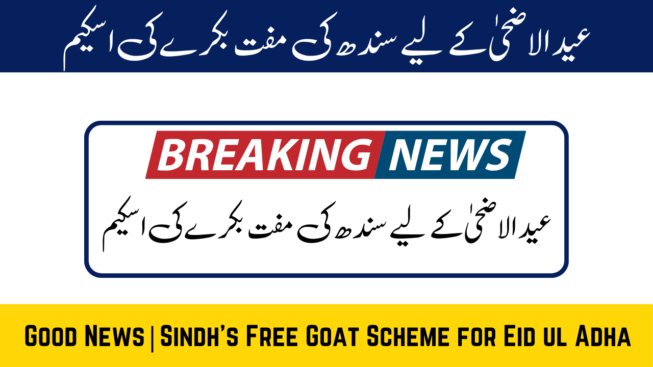 Sindh's Free Goat Scheme for Eid ul Adha