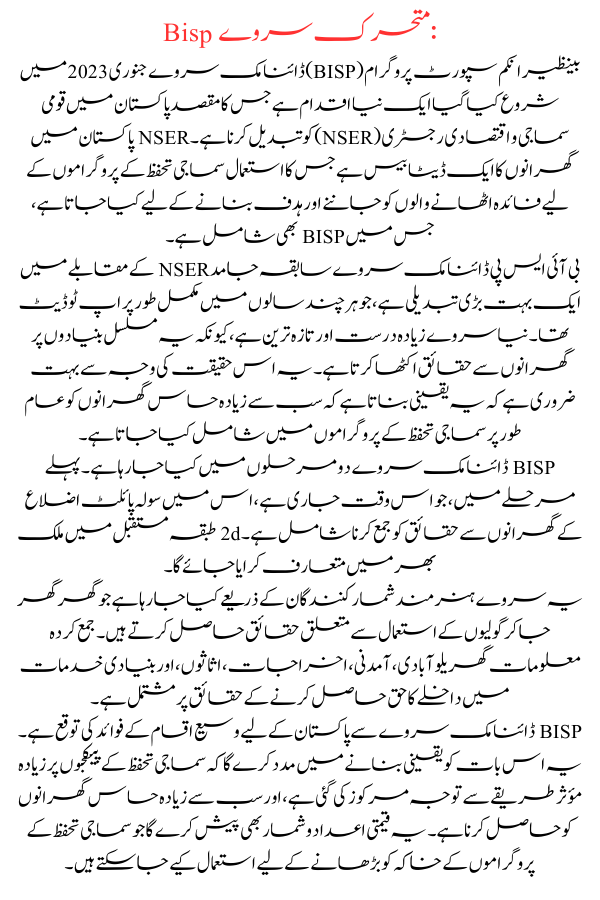 Bisp dynamic survey new