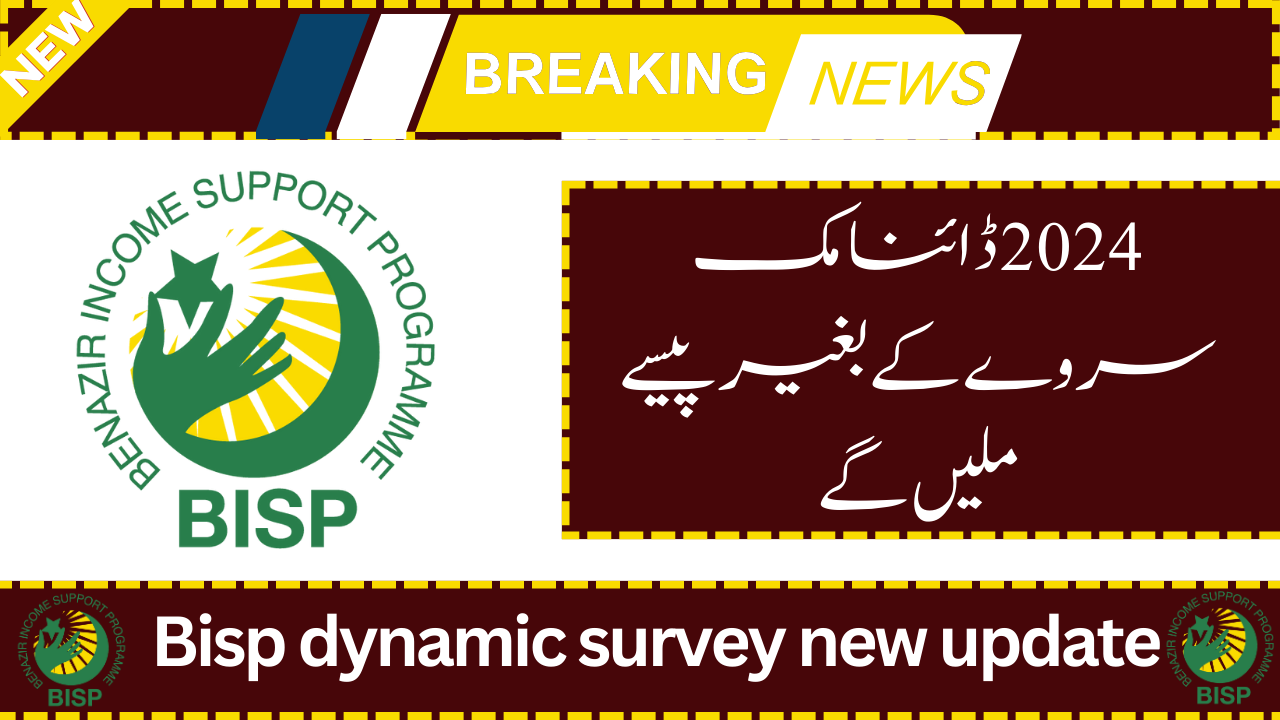 Bisp dynamic survey new