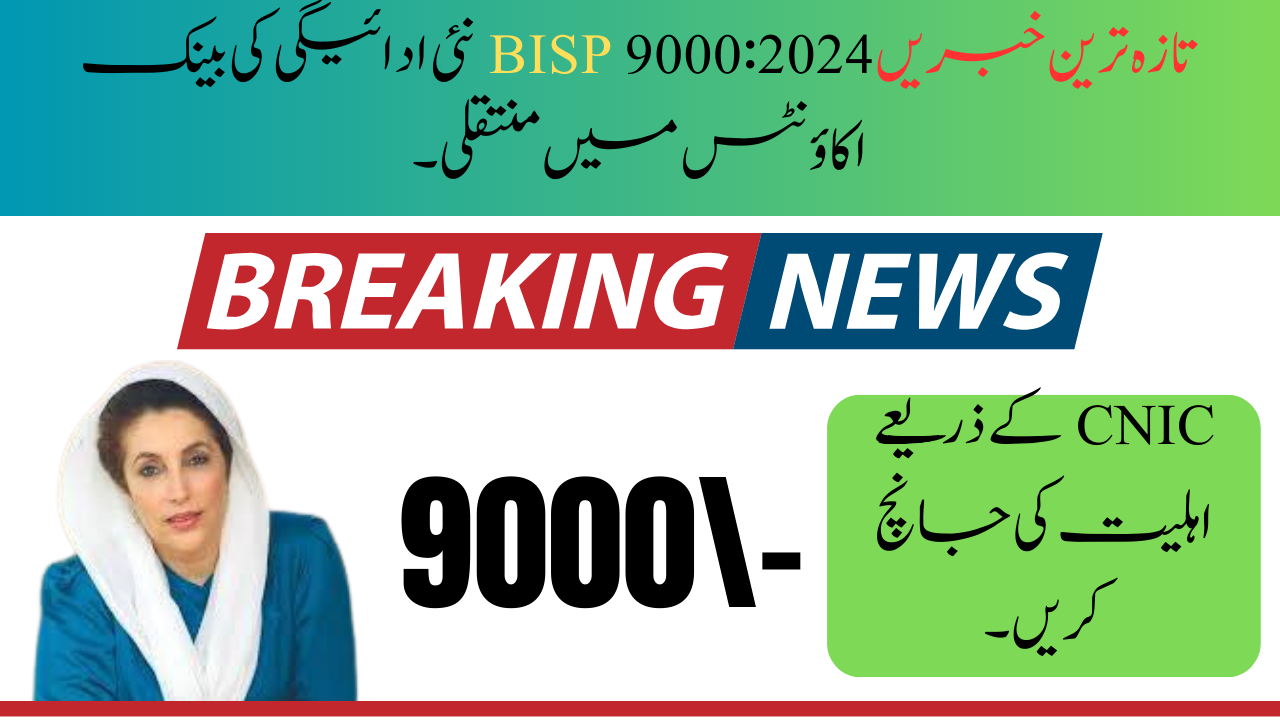 BISP 9000 new Payment Transfer To Bank Accounts