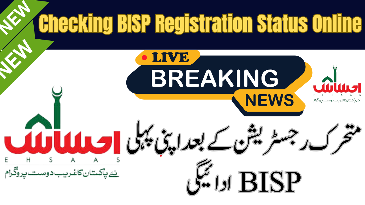 New BISP Payment Registration