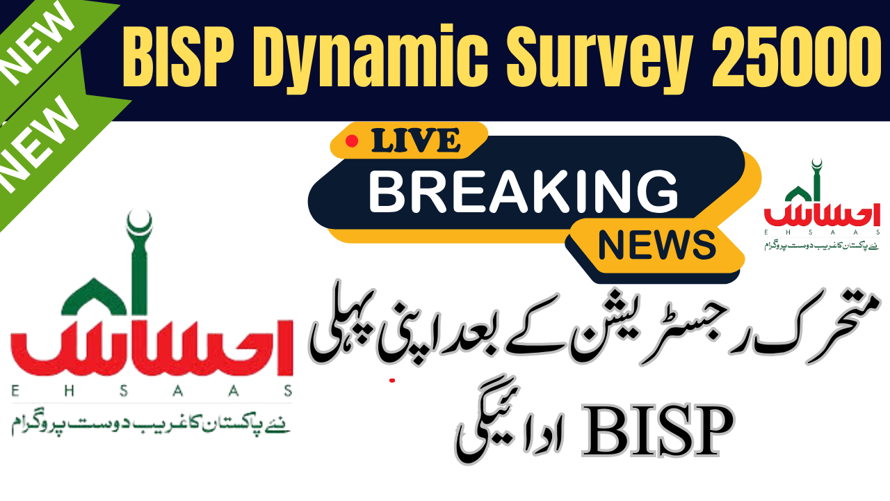 BISP Dynamic Survey 25000