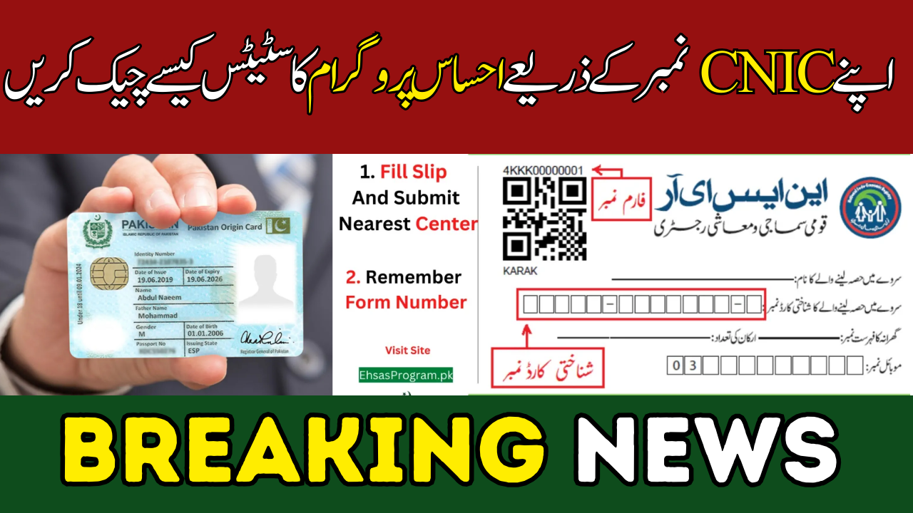 Check Ehsaas Program Status Through Your CNIC