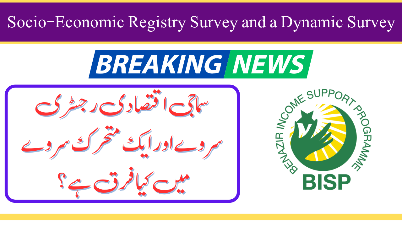 Socio-Economic Registry Survey