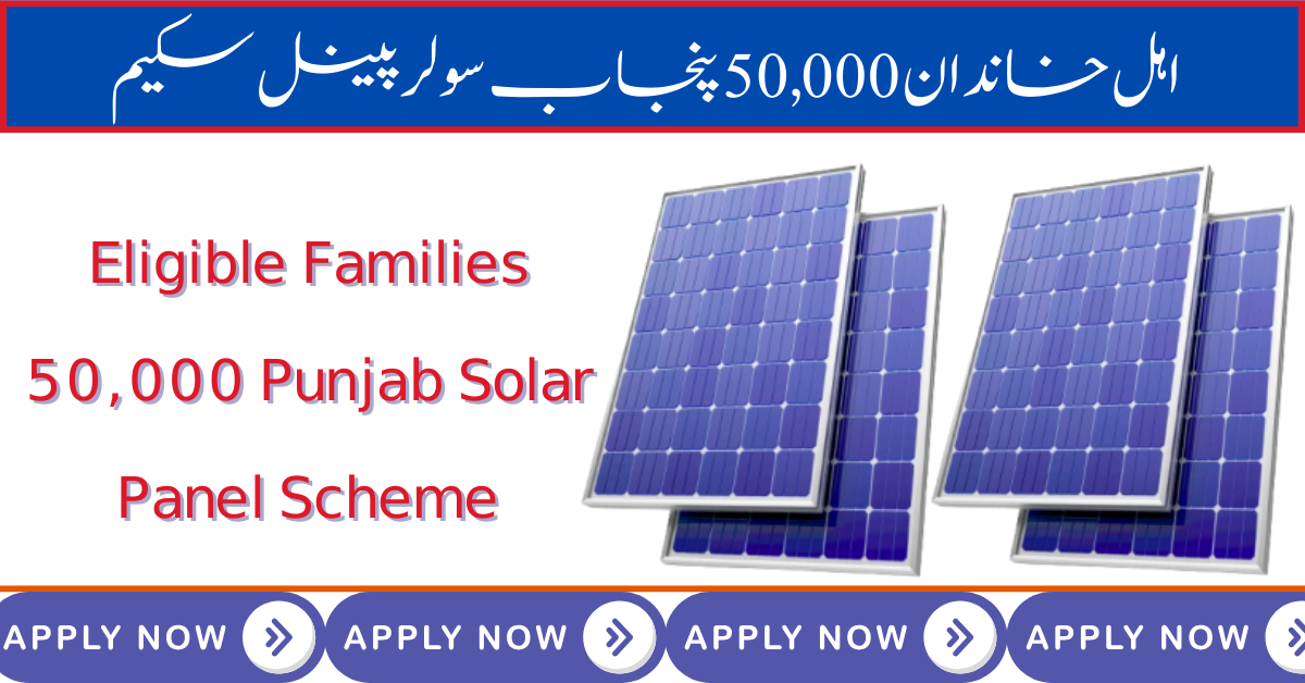 50000 Punjab Solar Panel