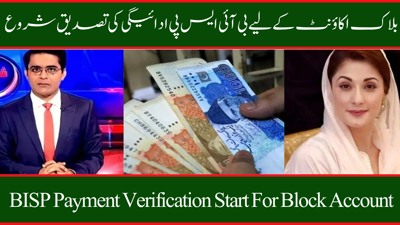 BISP Payment Verification Start