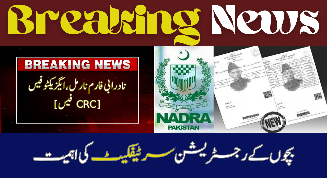 Nadra B-Form normal, executive fee  [CRC Fee]  