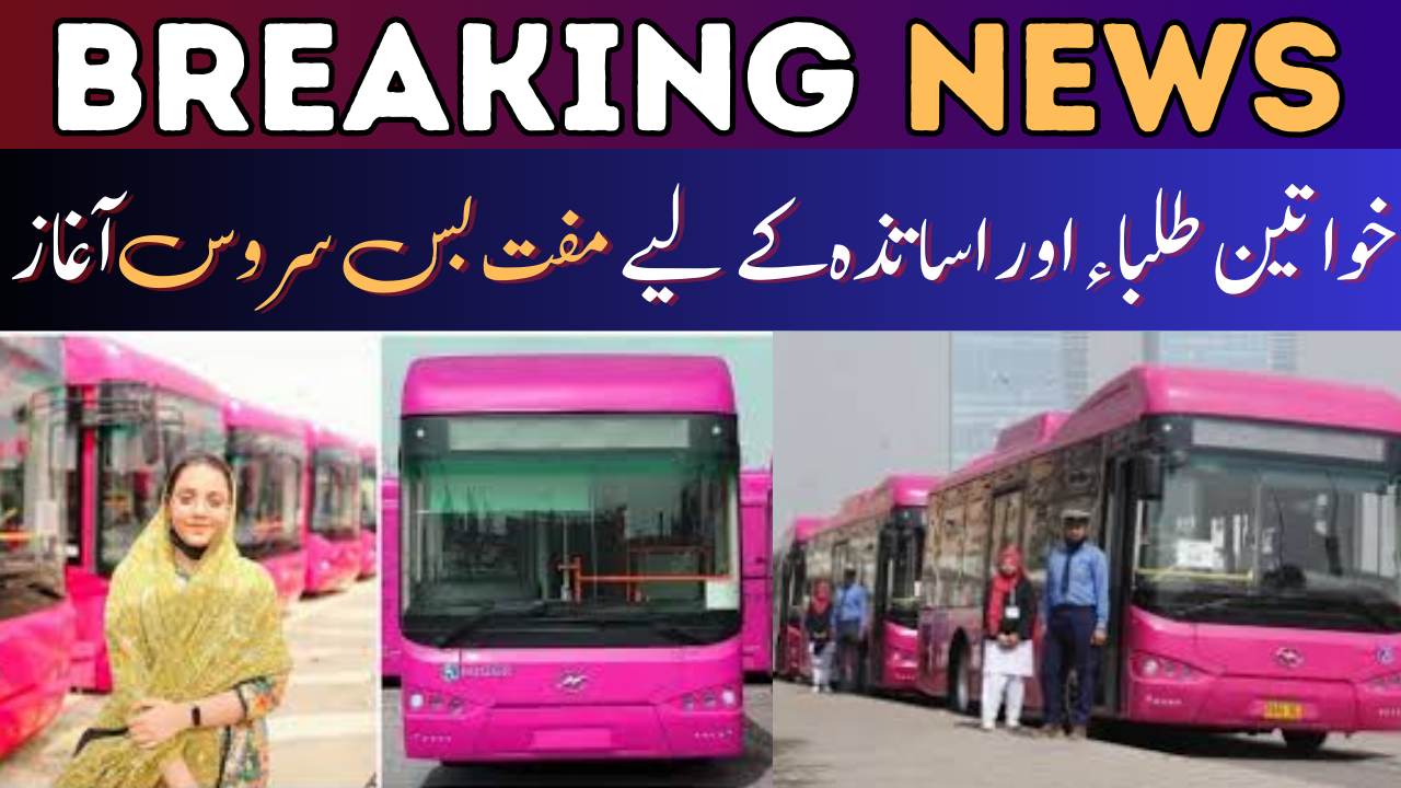 Free Pink Bus Service