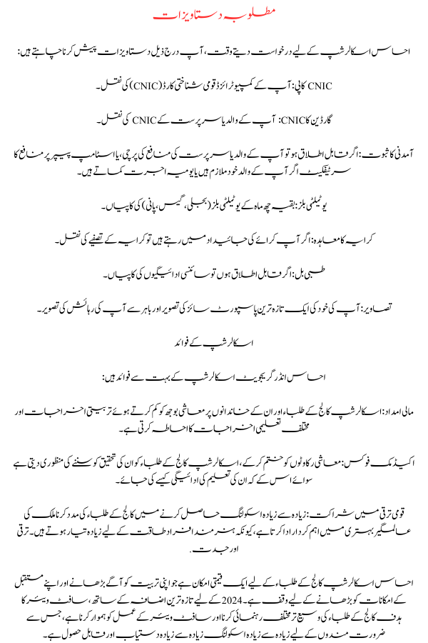 Ehsaas Undergraduate Scholarship