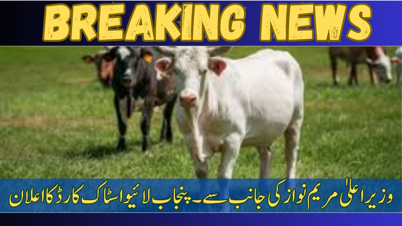 Livestock Card Scheme in Punjab by Maryam Nawaz