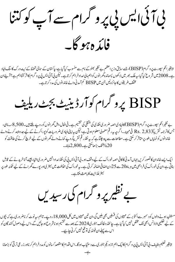 How plenty advantage you will get from the BISP Program