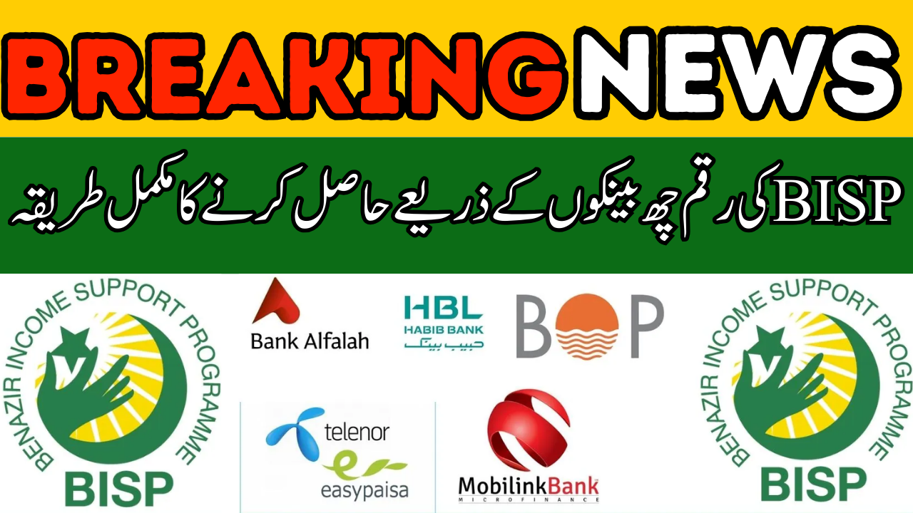 BISP Partners with 6 Banks