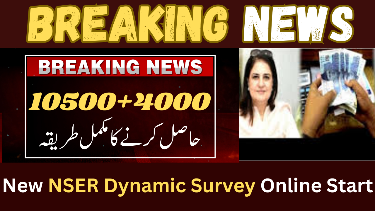 New NSER Dynamic Survey Online Start