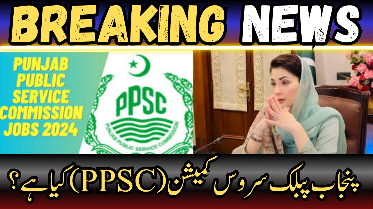 What is Punjab Public Service Commission (PPSC)?