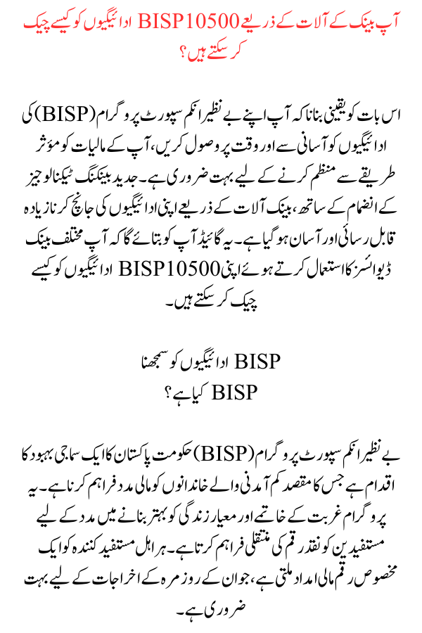 BISP Payments