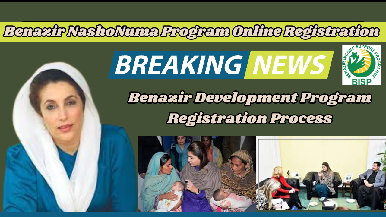 Benazir Nasho Numa Program Online Registration