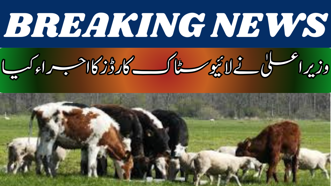 Today Latest Update: CM Punjab Launches Livestock Cards