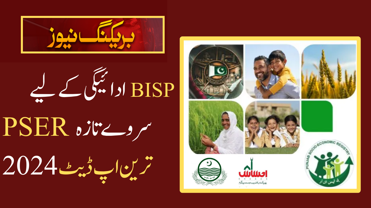 PSER Survey For BISP