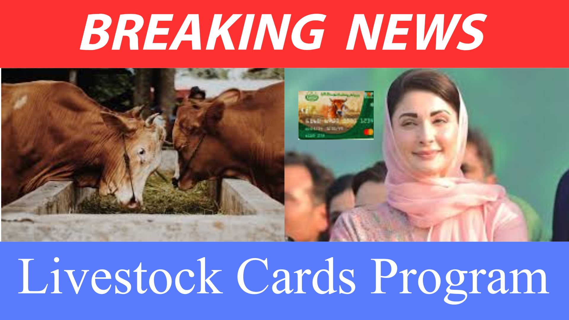 Livestock Cards Program