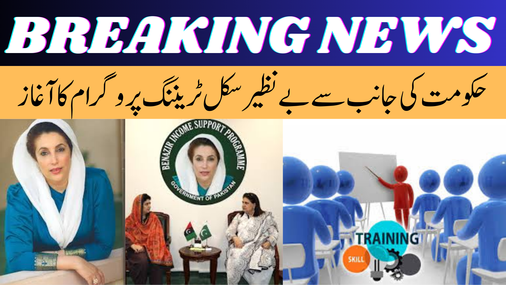 Benazir Skill Training Program