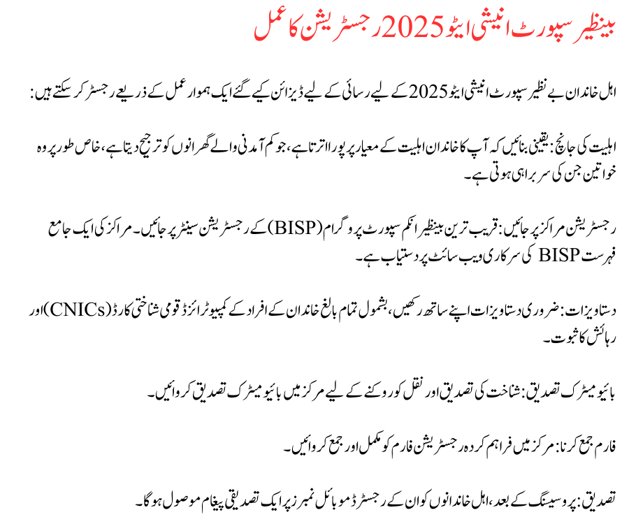 Benazir Support Initiative 2025 Districts